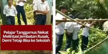 Video viral menunjukkan pelajar SMP di Tanggamus, Lampung, harus bertaruh nyawa menyeberang jembatan gantung rusak setiap hari untuk ke sekolah. Warga meminta pemerintah segera memperbaiki jembatan akses vital ini. Sumber: Urrangawak (X)