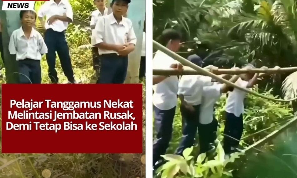 Pelajar Tanggamus Nekat Melintasi Jembatan Rusak, Demi Tetap Bisa ke Sekolah Video viral menunjukkan pelajar SMP di Tanggamus, Lampung, harus bertaruh nyawa menyeberang jembatan gantung rusak setiap hari untuk ke sekolah. Warga meminta pemerintah segera memperbaiki jembatan akses vital ini. Sumber: Urrangawak (X)