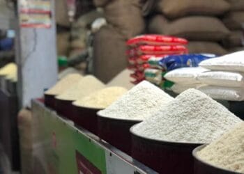 Ilustrasi rak-rak penuh beras di toko—menggambarkan ironi harga beras yang tinggi meski pasokan terlihat melimpah. (Sumber: Freepik)