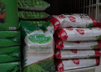 Stok beras premium tertata di etalase gerai ritel—ilustrasi situasi harga tinggi yang sedang mencemaskan masyarakat. (Sumber: Bisnis.com)