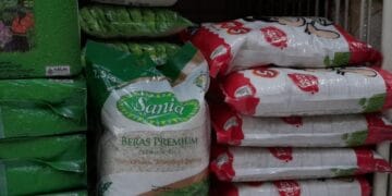 Stok beras premium tertata di etalase gerai ritel—ilustrasi situasi harga tinggi yang sedang mencemaskan masyarakat. (Sumber: Bisnis.com)