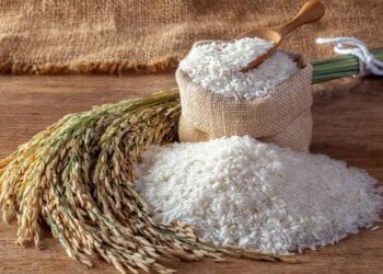 Ilustrasi padi yang ditanam di sawah tergenang air, kondisi ini membuat arsenik lebih mudah terserap. (Sumber: Getty Images)