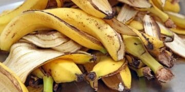 Ilustrasi visual mengomprehensif manfaat kulit pisang, termasuk untuk kulit, rambut, dan pertolongan pertama — memperkuat pesan bahwa kulit pisang tak layak dibuang sembarangan.