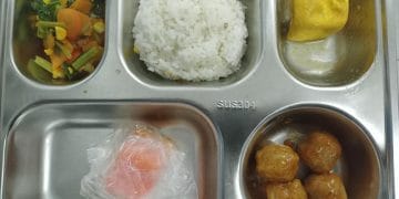 Hanya dengan Rp 10.000, menu sehat ala MBG ini bisa dibuat dengan buah, sayur, protein lokal sesuai petunjuk dr Tan Shot Yen. (Sumber: Kumparan)