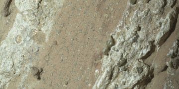 Ditemukan bukti kimiawi yang mengindikasikan kemungkinan kehidupan purba di Mars, tetapi para ilmuwan menyuarakan keraguan baru. Temukan argumen dan tantangan penelitian ini di sini. Foto: Nasa