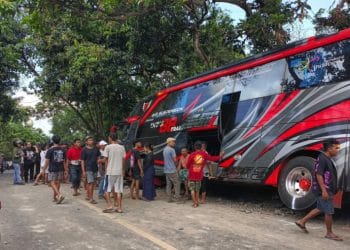 Kondisi bus pariwisata setelah kecelakaan maut di Desa Boto, Kecamatan Lumbang, Probolinggo. (Sumber: suarasurabaya.net)