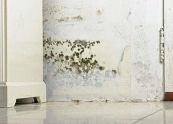 Tembok rumah yang lembap dan catnya mengelupas. (Sumber: The Spruce)