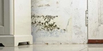 Tembok rumah yang lembap dan catnya mengelupas. (Sumber: The Spruce)