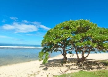 Hamparan pasir putih dan karang alami di Pantai Karapyak, Pangandaran, menawarkan suasana tenang bagi wisatawan. (Sumber: Pikiran Rakyat)