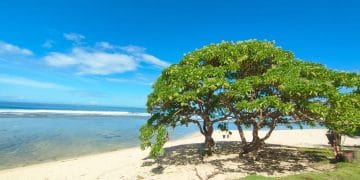 Hamparan pasir putih dan karang alami di Pantai Karapyak, Pangandaran, menawarkan suasana tenang bagi wisatawan. (Sumber: Pikiran Rakyat)
