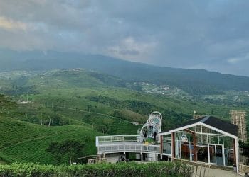 Eksplorasi Kebun Teh Kemuning di Karanganyar: panorama hijau, spot foto, wahana menarik, dan tips perjalanan lengkap untuk pengalaman wisata tak terlupakan. (Sumber: Instagram @kemuningskyhills)