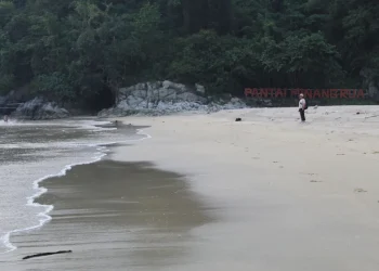 Nikmati pesona alam Pantai Minang Rua Lampung, dari pasir putih dan konservasi penyu hingga penginapan nyaman; panduan lengkap untuk pengalaman tak terlupakan. Foto: Kompas.id