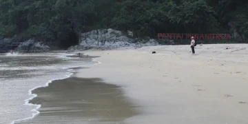 Nikmati pesona alam Pantai Minang Rua Lampung, dari pasir putih dan konservasi penyu hingga penginapan nyaman; panduan lengkap untuk pengalaman tak terlupakan. Foto: Kompas.id