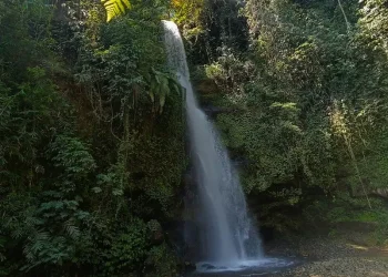 Rasakan pesona Coban Siuk Malang: air terjun tinggi, suasana asri, spot foto luar biasa, dan tips lengkap agar liburan alam Anda makin sempurna. Sumber: Radar Malang