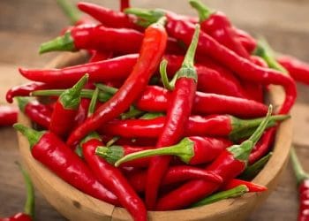 Beberapa cabai merah segar sebagai ilustrasi makanan pedas. (Sumber: The Sport Review Via unair.ac.id)