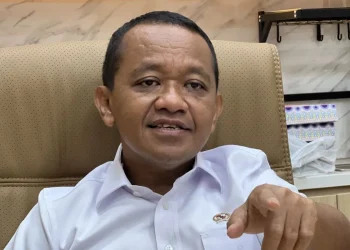 Pemerintah berencana menambah porsi sahamnya di PT Freeport Indonesia di atas 10 persen dari 51%, menjadikan kepemilikan RI melewati 61% dalam negosiasi perpanjangan IUPK. (Sumber: ANTARA/Putu Indah Savitri)