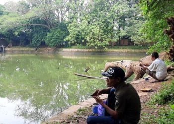 Nikmati ketenangan Danau Srengseng di Jakarta Barat, destinasi wisata alam yang cocok untuk rekreasi keluarga, olahraga, dan bersantai di ruang hijau kota. Foto: ANTARA/Ulfa Jainita