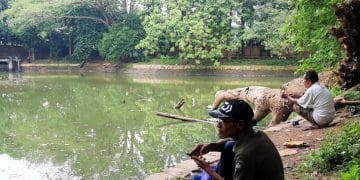 Nikmati ketenangan Danau Srengseng di Jakarta Barat, destinasi wisata alam yang cocok untuk rekreasi keluarga, olahraga, dan bersantai di ruang hijau kota. Foto: ANTARA/Ulfa Jainita
