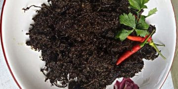 Resep rendang pakis Padang asli dengan bumbu lengkap dan santan gurih. Perpaduan daun pakis segar, rempah, serta ikan atau ayam menghasilkan rasa autentik khas Minang. (Sumber: Instagram / @difakuliner)