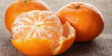 Penampang jeruk yang memperlihatkan lapisan serabut putih (albedo) di sekitar daging buah—bagian ini sering diabaikan saat dikonsumsi. (Sumber: tribunjualbeli.com)