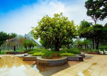 Suasana hijau dan asri di salah satu taman kota Jakarta—nampak bagus untuk wisata santai tanpa biaya. (Sumber: Agoda via X)