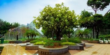 Suasana hijau dan asri di salah satu taman kota Jakarta—nampak bagus untuk wisata santai tanpa biaya. (Sumber: Agoda via X)