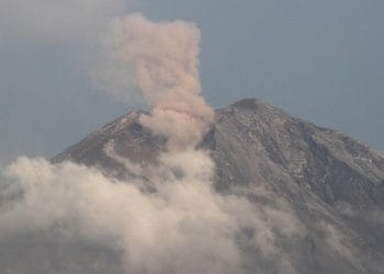 Gunung Semeru saat erupsi melepaskan kolom abu yang membumbung ke atas puncak, terlihat dari Pos Pengamatan. (Sumber: ANTARA FOTO/Ari Bowo Sucipto Via CNN Indonesia)