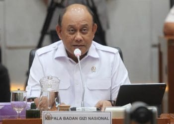 Kepala Badan Gizi Nasional (BGN), Dadan Hindayana, saat rapat bersama DPR RI membahas anggaran program Makan Bergizi Gratis (MBG) 2025 (Foto: Agung Pambudhy/detikcom)