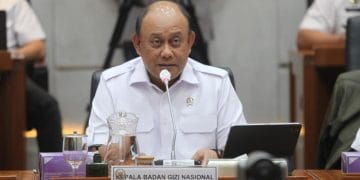 Kepala Badan Gizi Nasional (BGN), Dadan Hindayana, saat rapat bersama DPR RI membahas anggaran program Makan Bergizi Gratis (MBG) 2025 (Foto: Agung Pambudhy/detikcom)