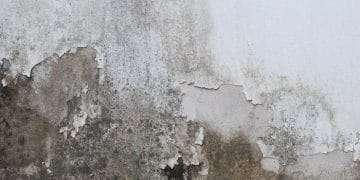 Atasi dinding lembap dan berjamur di musim hujan dengan cara praktis dan efektif. Rumah lebih sehat, bersih, dan bebas bau apek. Foto: Freepik