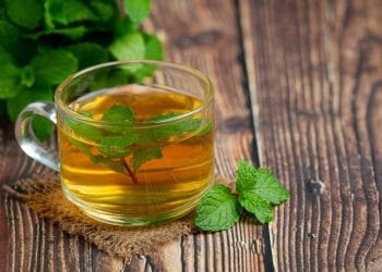 Coba 8 resep seduhan daun alami untuk membantu menurunkan kolesterol dan asam urat. Mulai dari mint, serai, daun jambu biji, hingga daun ketumbar—semua mudah dibuat di rumah dan punya manfaat kesehatan nyata. Foto: Freepik