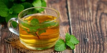 Coba 8 resep seduhan daun alami untuk membantu menurunkan kolesterol dan asam urat. Mulai dari mint, serai, daun jambu biji, hingga daun ketumbar—semua mudah dibuat di rumah dan punya manfaat kesehatan nyata. Foto: Freepik