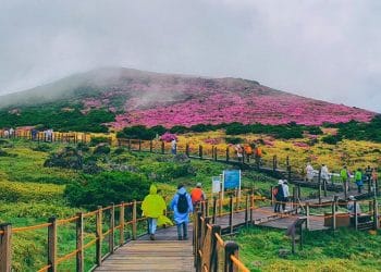 Panorama lanskap alam Pulau Jeju yang indah serta mencerminkan suasana tenang dan alami — sumber: Getty Images)