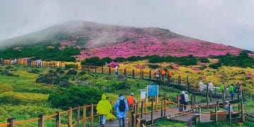 Panorama lanskap alam Pulau Jeju yang indah serta mencerminkan suasana tenang dan alami — sumber: Getty Images)