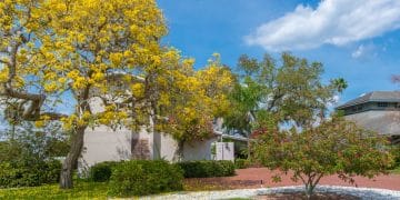 Menanam pohon di pekarangan rumah memberi banyak manfaat: udara lebih segar, lingkungan sejuk, kesehatan terjaga, hingga mencegah banjir. (Sumber: Shutterstock)