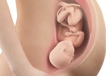 Yuk, pahami bagaimana bayi tumbuh di dalam kandungan dari minggu ke minggu agar kehamilan tetap sehat dan nyaman. (Foto: Klikdokter.com).