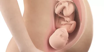 Yuk, pahami bagaimana bayi tumbuh di dalam kandungan dari minggu ke minggu agar kehamilan tetap sehat dan nyaman. (Foto: Klikdokter.com).