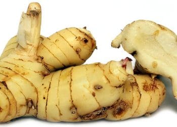 Manfaat Lengkuas untuk Kesehatan: Cegah Infeksi hingga Tingkatkan Kesuburan. (Foto: specialtyproduct.com)