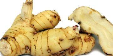 Manfaat Lengkuas untuk Kesehatan: Cegah Infeksi hingga Tingkatkan Kesuburan. (Foto: specialtyproduct.com)