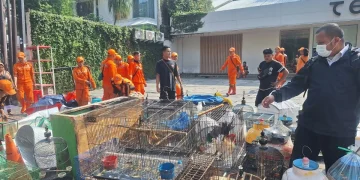 Pemkot Jaksel mulai membongkar kios pedagang Pasar Barito untuk mendukung proyek Taman Bendera Pusaka. Pedagang akan direlokasi ke Lenteng Agung. (Foto: Antara)