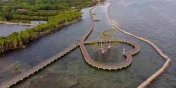 Pulau Untung Jawa di Kepulauan Seribu makin populer. Dua alasan utama jadi daya tarik wisatawan, yaitu akses mudah dan jaringan telekomunikasi lancar. (Foto: Kompas)
