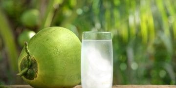 Air kelapa muda sering disebut bisa membersihkan ginjal. Benarkah begitu? Simak penjelasan medis dan hasil riset yang mengungkap fakta sebenarnya. (Foto: Alodokter)