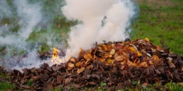 Dinas Lingkungan Hidup DKI Jakarta akan memberikan sanksi sosial berupa publikasi wajah bagi pelaku pembakaran sampah di ruang terbuka. (Foto: Freepik)