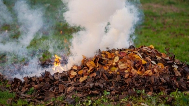 Warga Bakar Sampah di Jakarta Bakal Disanksi, Wajah Bisa Dipublikasikan Dinas Lingkungan Hidup DKI Jakarta akan memberikan sanksi sosial berupa publikasi wajah bagi pelaku pembakaran sampah di ruang terbuka. (Foto: Freepik)