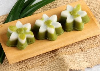 Resep Talam Hijau Karamel yang lembut dan legit, paduan santan gurih dan aroma daun pandan. Mudah dibuat, cocok untuk camilan nostalgia keluarga. (Foto: SHUTTERSTOCK/sri widyowati)