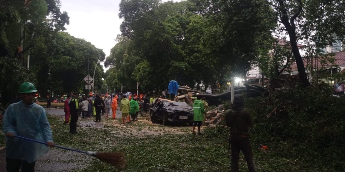 Pohon besar tumbang di kawasan Dharmawangsa, Jakarta Selatan, akibat hujan dan angin kencang. Satu orang tewas dan beberapa mobil rusak. (Foto: KOMPAS.com/OMARALI DHARMAKRISNA SOEDIRMAN)