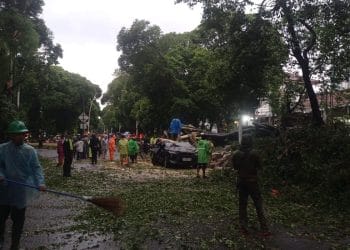 Pohon besar tumbang di kawasan Dharmawangsa, Jakarta Selatan, akibat hujan dan angin kencang. Satu orang tewas dan beberapa mobil rusak. (Foto: KOMPAS.com/OMARALI DHARMAKRISNA SOEDIRMAN)