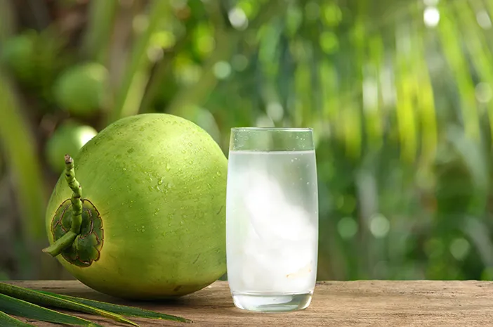 Siapa Saja yang Dianjurkan Rutin Minum Air Kelapa? Ini Penjelasannya Resep alami dari alam, air kelapa menyimpan manfaat besar bagi kesehatan. Simak siapa saja yang disarankan untuk rutin mengonsumsinya. (Foto: Halodoc)