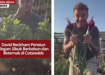David Beckham tunjukkan kehidupan sederhana di masa pensiun dengan berkebun dan beternak di rumahnya di Cotswolds, Inggris.