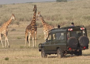 National Geographic merilis daftar 25 destinasi terbaik untuk dikunjungi pada tahun 2026. Dari Inggris hingga Jepang, ini rekomendasi liburan terbaik dunia. (Foto: explorerwandatours.com)